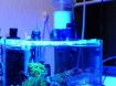 圖片 Maxspect Celestial C35S Led System (Super Actinic)