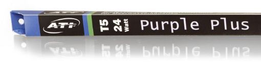 圖片 ATI Purple plus - 80W