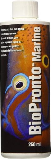 圖片 美國雙魚牌 海水排毒淨水劑 - 250ml