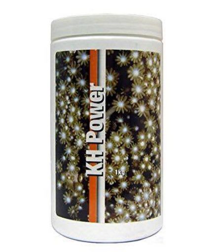 圖片 美國雙魚牌 速溶純淨增鹼粉KH粉 （經濟型） - 1000g