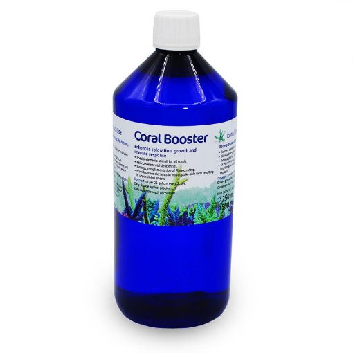 圖片 KZ Coral Booster 1000ml