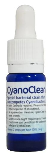 圖片 KZ CyanoClean 10ml