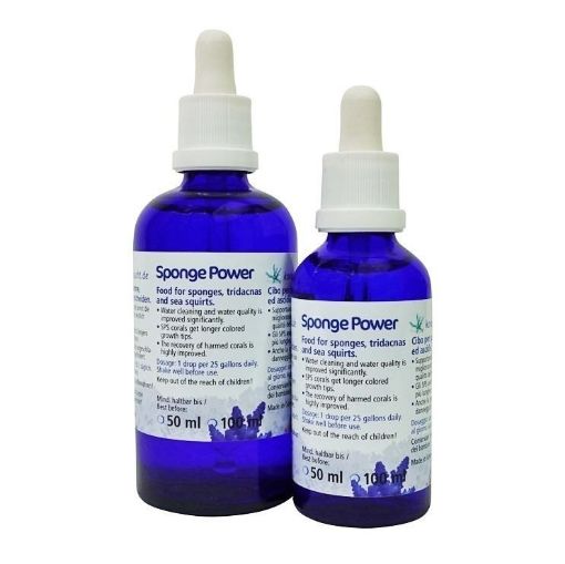 圖片 KZ Sponge Power Concentrate 100ml