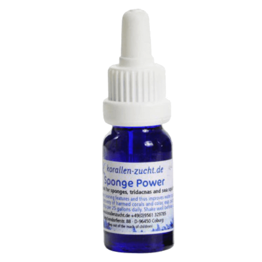 圖片 KZ Sponge Power Concentrate 10ml