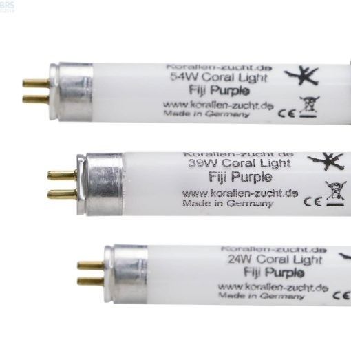 圖片 KZ Coral Light Fiji Purple 39W