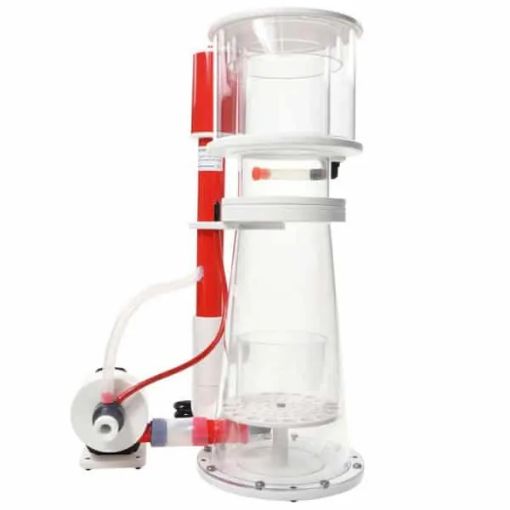 圖片 Vertex Alpha 170